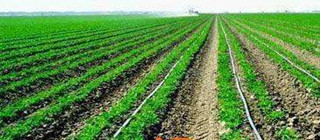 農田灌溉行業(yè)